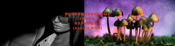 мескалин Коряжма