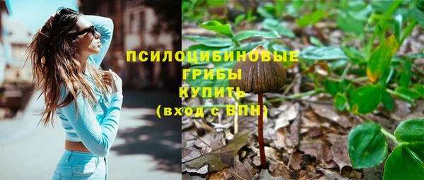 прущий лед Козельск