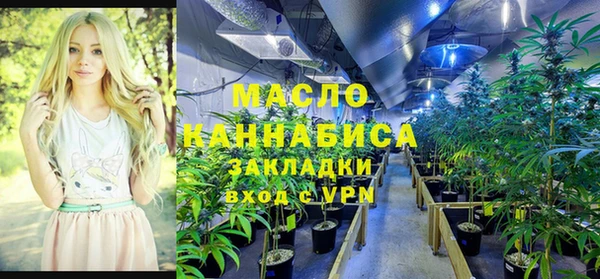гидра Костерёво