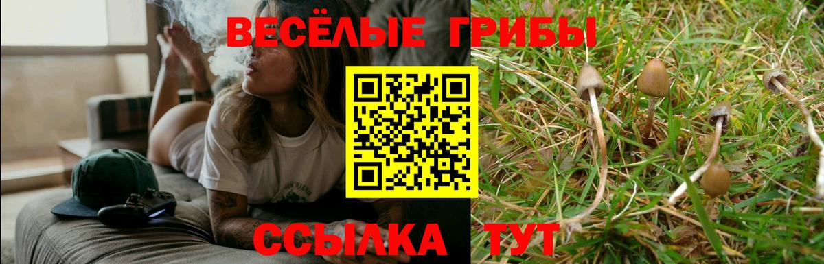Галлюциногенные грибы мухоморы Красный Сулин